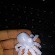 20210803_072134.jpg Articulated mini Octopus