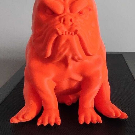 2.jpg Aggressive dog