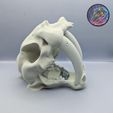d91ddf50-a45d-4d30-8571-16c15f9858d5.jpg Sabertooth Skull Dice Tower