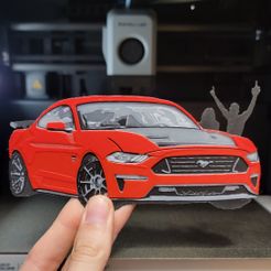 20231118_133640.jpg Crowd Killer Mustang