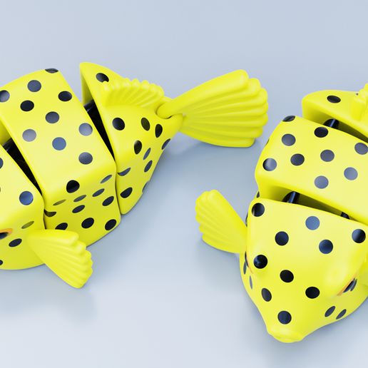 03.jpg Flexi Boxfish