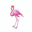 0_00000DR.png DINOSAUR DINOSAUR 3d FLAMINGO DOWNLOAD FLAMINGO 3D MODEL ANIMATED - BLENDER - 3DS MAX - CINEMA 4D - FBX - MAYA - UNITY - UNREAL - OBJ -  FLAMINGO PINK DINOSAUR DINOSAUR FLAMINGO DINOSAUR BIRD