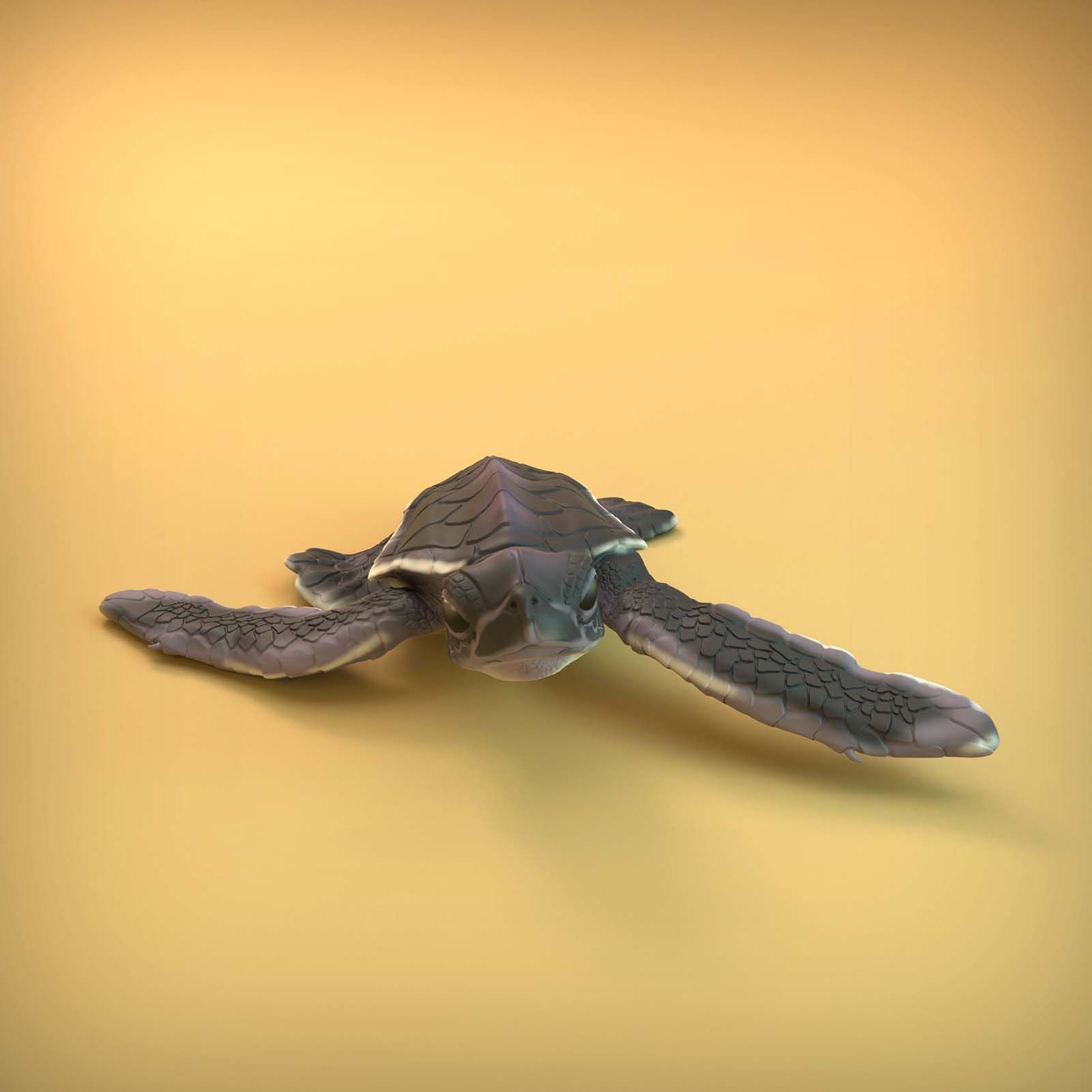 Turtle_8.jpg 3D-Datei Meeresschildkröten-Schlüpfling・3D-Druckvorlage zum Herunterladen, AnimalDenMiniatures