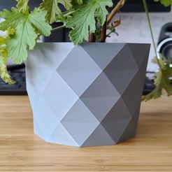 IMG_20220815_173451.jpg Archivo STL Maceta y jardinera GeoStone para sus plantas - modo jarrón・Diseño imprimible en 3D para descargar