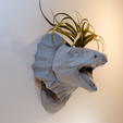 2.png Armadillo girdled lizard head mouth open wall mount planter pot flower vase low poly stl