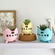IMG_4187-conv.jpeg Pusheen Kitten Planter - Easy Print