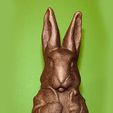 6.jpg Peter Rabbit