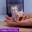IMG_2882.jpg American Bully dog - flexi print in place toy by Happy Flexi pets (Updated!)