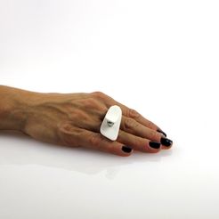 IMG_3955.jpg STL file Oyster Ring・3D printing design to download