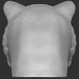 9.jpg Tiger head for 3D printing
