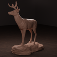 front-deer-2.png Archivo 3D Ciervo de cola blanca・Diseño imprimible en 3D para descargar