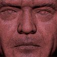 29.jpg Jack Nicholson bust 3D printing ready stl obj formats