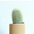JAP_FRONT_PLANT.jpg SET OF 4 MINIMAL PLANT POTS FOR SUCCULENTS AND CACTI READY TO BE PRINTED ON WOOD PLA