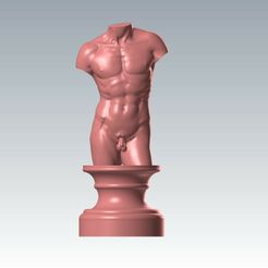 David-on-Pedestal,-Front.jpg David Statue, David Sculpture, Man`s torso, Naked Art Statue