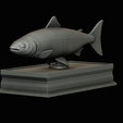 Salmon-statue-box-1-31.png fish sculpture of a Atlantic salmon / salmo salar with storage space / for 3d printing