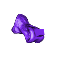Pedal_Phalange_Right_09.OBJ OBJ file Life size baby T-rex skeleton - Part 03/10・3D printing model to download