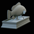 White-grouper-open-mouth-statue-49.png fish white grouper / Epinephelus aeneus open mouth statue detailed texture for 3d printing