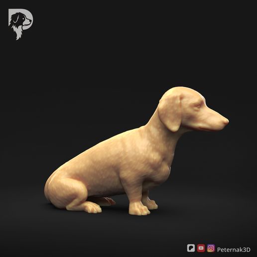 Dachshund-Smooth-Haired-Pose-04-Dog-3D-Print-2s.jpeg Teckel à poil lisse Pose 04