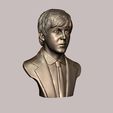 18.jpg Paul McCartney 3D print model