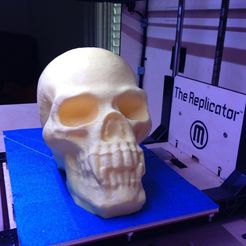 09_skull2_display_large.jpg Free STL file Skull with Pointed Teeth・Object to download and to 3D print