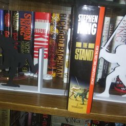 20230422_221943.jpg Stephen King The Stand Bookends