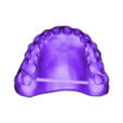 789513050_20230710_1202_Tech_01_1_Print.stl DIGITAL TOTAL REMOVABLE DENTURES - 4 stl files (upper jaw, lower jaw, artificial teeth for upper and lower jaw)