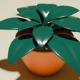 plant-1.png Plant