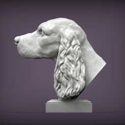Spaniel1.jpg 3D file English Cocker Spaniel 3D print model・3D printable model to download