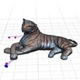 3.jpg OBJ-Datei The Family's Tiger, 3D Scan kostenlos herunterladen • Modell für den 3D-Druck, leFabShop