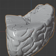 45.PNG.f204bcf79bf9ffc30b888434177142b6.png 3D Model of Human Brain