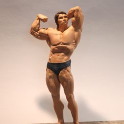 Arnold Schwarzenegger Modèle 3D prêt à être imprimé Modèle d'impression 3D Modèle d'impression 3D