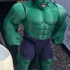 WhatsApp-Image-2024-05-14-at-11.06.50.jpeg Articulated Milei Hulk