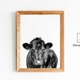 Baby-Room-Art,-Baby-Animal-Photo.jpg Highland Cow Picture, Animal Wall Art Printable JPEG 300PPi 5ratio 2x3, 3x4, 4x5, 5x7, 11x14. Maximun frame 24x36in