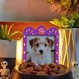 WhatsApp-Image-2025-09-16-at-10.54.16-PM.jpeg Pet Altar (Puppies)