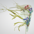 BRAIN-STEM-WITH-CRANIAL-NERVES-AND-NUCLEI-5.png 32-part Brainstem & Midbrain 3D Model with Full Cranial Nerves and Nuclei