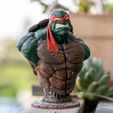 Buste TMNT (fan art)