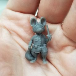 IMG_20190603_163923.jpg Free STL file Rat Rogue・Design to download and 3D print