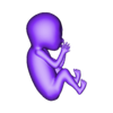 fetus-o1k.STL fetus character
