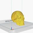 cura1b.JPG Skull Head