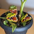 3ManEatingPlants.jpg Personalizable Hombre Comiendo Planta