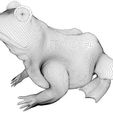 d7f41cb5d52394ac76405c6177ddd78c_preview_featured.jpg A frog