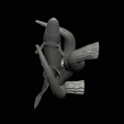 pike-high-quality-1-22.png big old pike underwater statue on the wall detailed texture for 3d printing