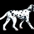 0_00049.jpg DOG - DOWNLOAD Dalmatian 3d model - Animated for blender-fbx- Unity - Maya - Unreal- C4d - 3ds Max - CANINE PET GUARDIAN WOLF HOUSE HOME GARDEN POLICE  3D printing DOG DOG