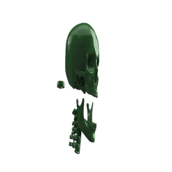 skull_original_v6_v211.png Life Size Skull Moneybox