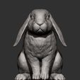rabbit-ram10.jpg Rabbit ram 3D print model