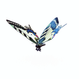 PNGGB.png DOWNLOAD BUTTERFLY 3D MODEL - ANIMATED - MAYA - BLENDER 3 - 3DS MAX - UNITY - UNREAL - CINEMA 4D - 3D PRINTING - OBJ - FBX - 3D PROJECT CREATE AND GAME READY BUTTERFLY - DRAGON