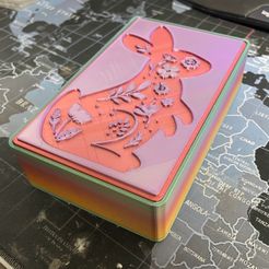 IMG_2160.jpg Бесплатный STL файл Коробка для кролика・Модель 3D-принтера для скачивания