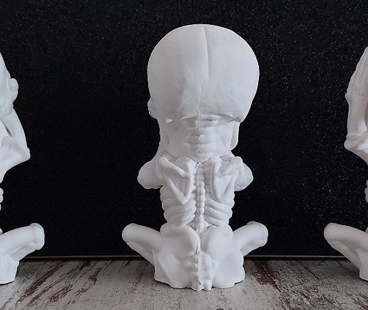 08.jpg 3 Wise Skull SET