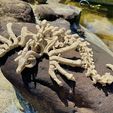 tempImage2RscHh.jpg SKELETON WYVERN, FLEXI PRINT IN PLACE MODEL