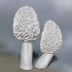 2023-04-20-15_50_06-ZBrush.jpg Fichier STL sculpture naturaliste champignons morille・Plan imprimable en 3D à télécharger